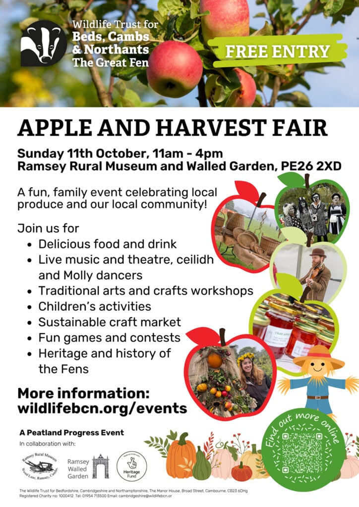 Apple and Harvest Day 1 poster